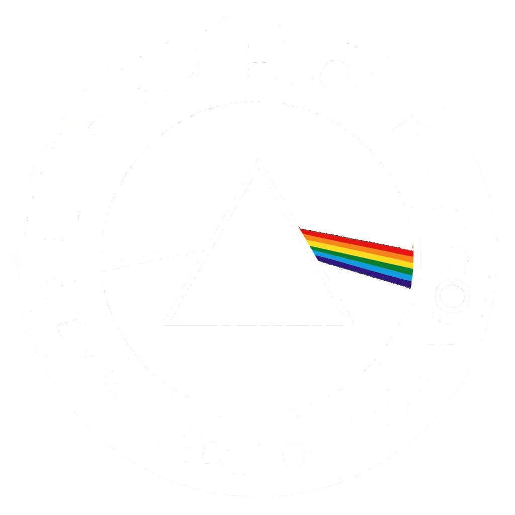 Pink Floyd The Dark Side Of The Moon - Hoodie